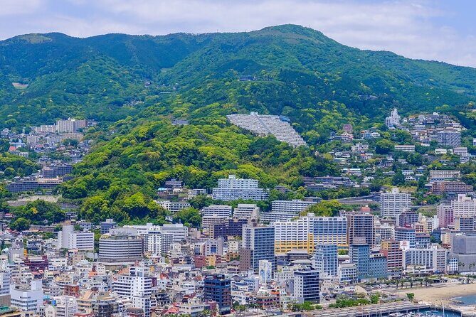 Atami Half-Day Private Tour with Government-Licensed Guide - The Sum Up