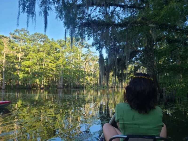 Atchafalaya Basin: 2.5 Hr. Guided Kayak Tour - A Close Look at the Tour