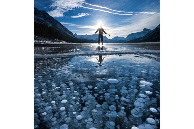 Athabasca Falls/Abraham,Sunwapta Falls,Icefield & Peyto Lake Tour - Bow Lake and Peyto Lake