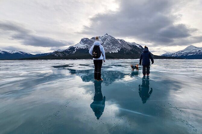 Athabasca Falls/Abraham,Sunwapta Falls,Icefield & Peyto Lake Tour - Waterfowl Lakes and Abraham Lake (Winter) or Alternative Stops