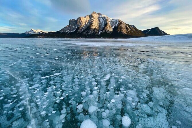 Athabasca Falls/Abraham,Sunwapta Falls,Icefield & Peyto Lake Tour - Sunwapta Falls and Athabasca Falls