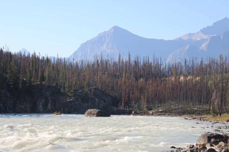 Athabasca Falls: Class 2 White Water Rafting Adventure - The Sum Up: Who Will Love This Experience?