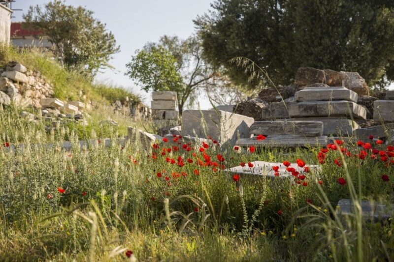 Athens: Acropolis Beat the Heat Guided Tour - FAQ