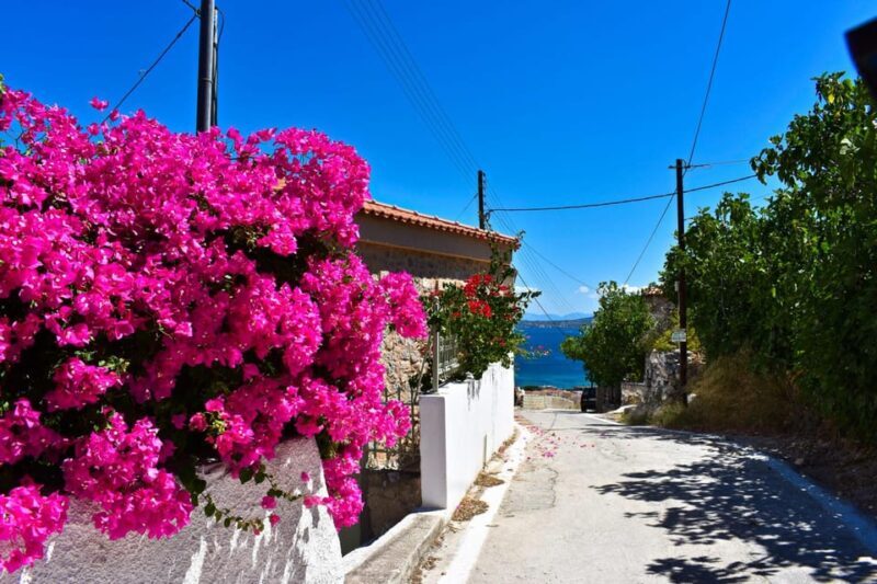 Athens: Agistri, Metopi & Aegina Cruise with Meals & Drinks - Frequently Asked Questions