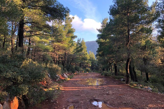Athens Backcountry Shore Excursion to Parnitha Mountain - What Makes This Tour Stand Out?