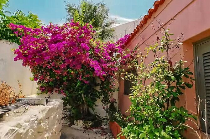 Athens Beauty 4h Private Walking tour - An In-Depth Look at the Athens Beauty 4-Hour Tour