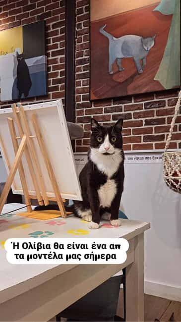 Athens: Cat Café Paint & Sip Experience - Key Points