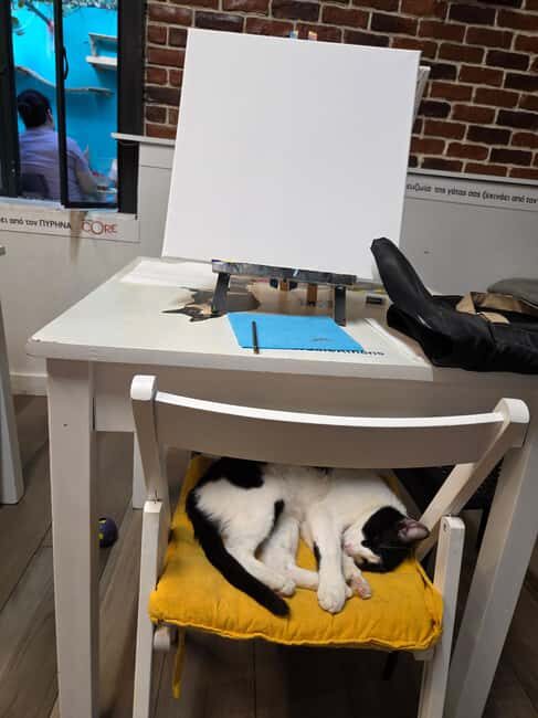 Athens: Cat Café Paint & Sip Experience - Why This Tour Works