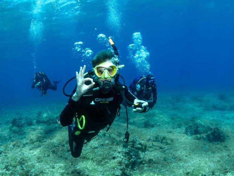 Athens: Discover Scuba Diving Experience for Beginners - The Marine Environment of Athens