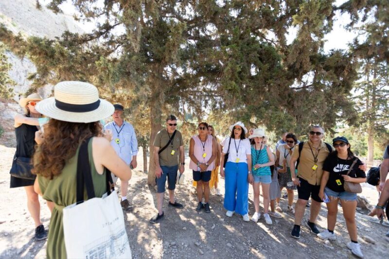 Athens: Early Morning Guided Tour to Acropolis and Museum - A Deep Dive into the Tour Experience