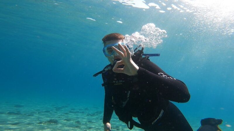 Athens East Coast: Discover Scuba Diving in Nea Makri - An In-Depth Look at the Experience