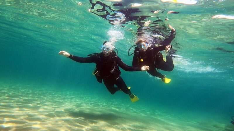 Athens East Coast: Discover Scuba Diving in Nea Makri - Who Should Consider This Experience?