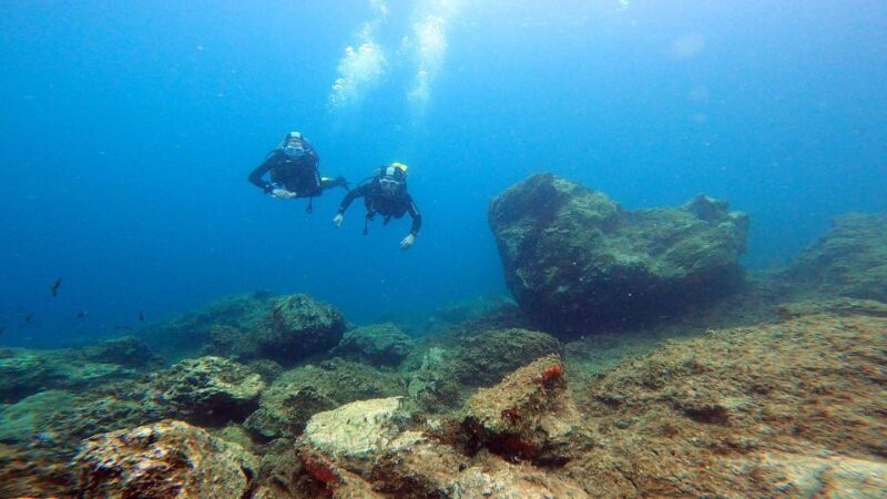 Athens East Coast: Open Water Diver Course in Nea Makri - The Experience: What to Expect