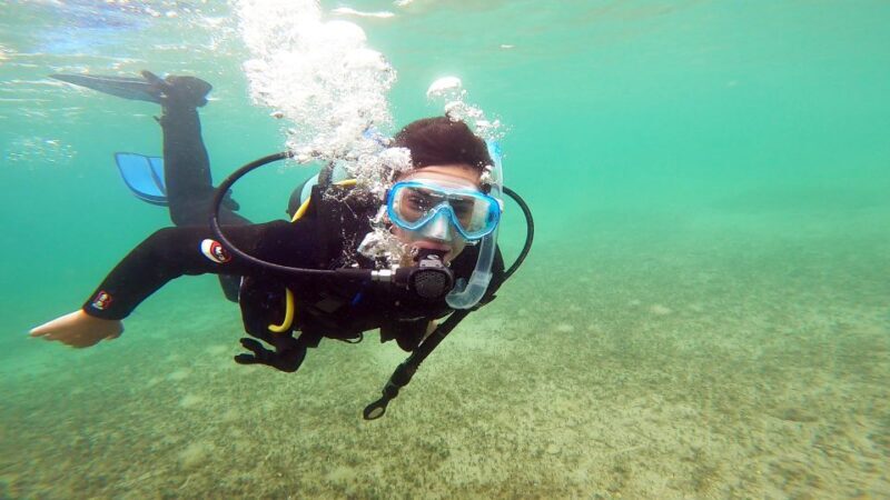 Athens East Coast: Open Water Diver Course in Nea Makri - The Dive Sites and Location Highlights