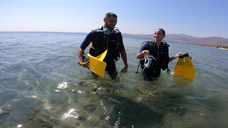 Athens East Coast: Open Water Diver Course in Nea Makri - The Value and Who It’s Perfect For