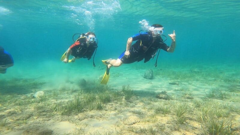 Athens East Coast: Open Water Diver Course in Nea Makri - Final Thoughts