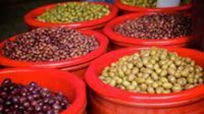 Athens Gourmet Food Small Group Walking Tour - Final Thoughts: Who Will Love This Tour?