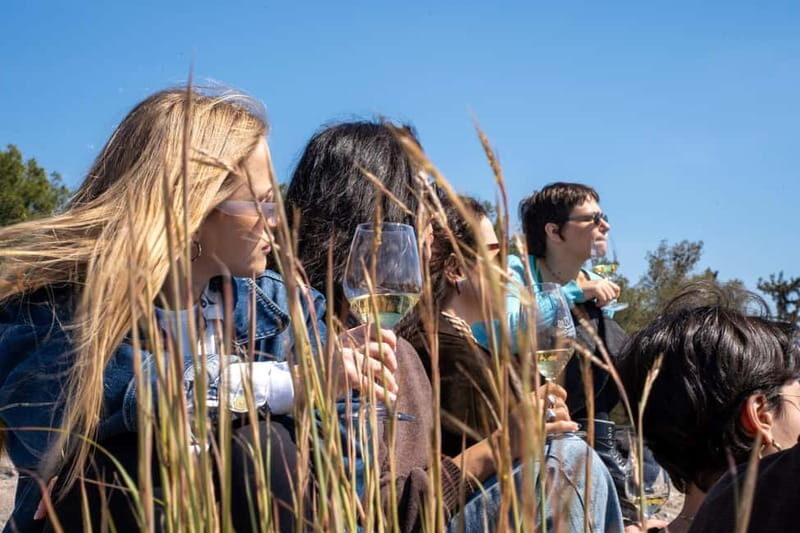 Athens: Greek Wine Tasting and Picnic on Philopappou Hill - Who Will Enjoy This Tour?
