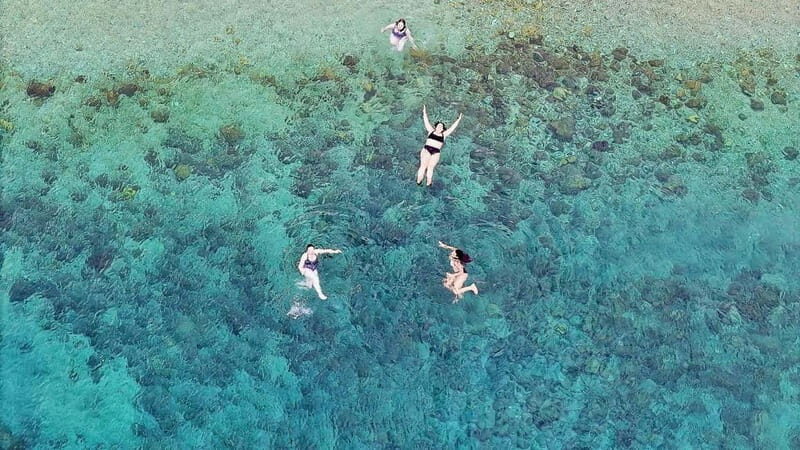 Athens: Half-Day Semi-Private Trip To Cape Sounio/Poseidon - Indulge in Greek Cuisine at a Local Taverna