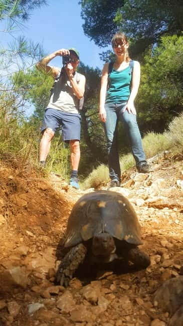 Athens Historical Hiking with Lunch - Who Should Consider This Tour?
