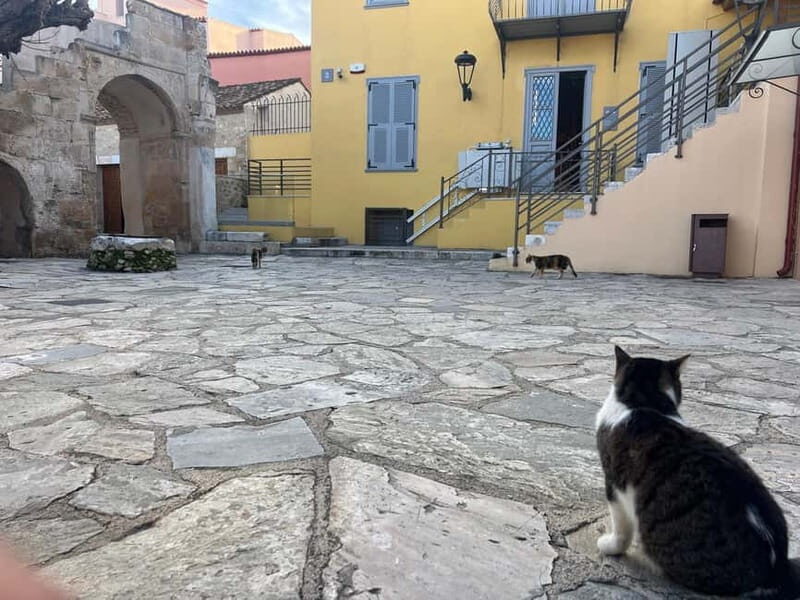 Athens: Museum of Modern Greek Culture Entry Ticket - Who Will Enjoy This Experience?