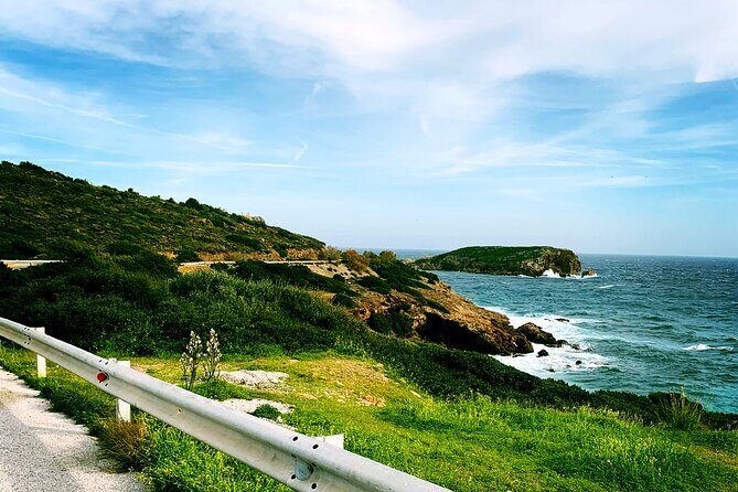 ATHENS OLIVE ESTATE - Olive Oil Workshop with Farm-to-Fork Lunch - Key Points