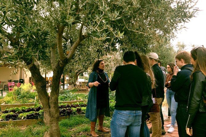 ATHENS OLIVE ESTATE - Olive Oil Workshop with Farm-to-Fork Lunch - The Sum Up