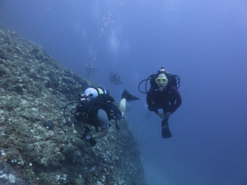 Athens: Private Discover Scuba Diving for Beginners - Who Is This Tour Best For?
