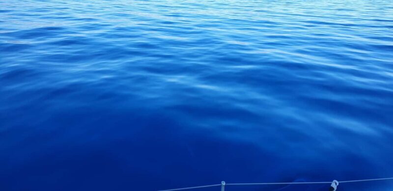 Athens Riviera Private Catamaran Cruise with Meal and Drinks - FAQs