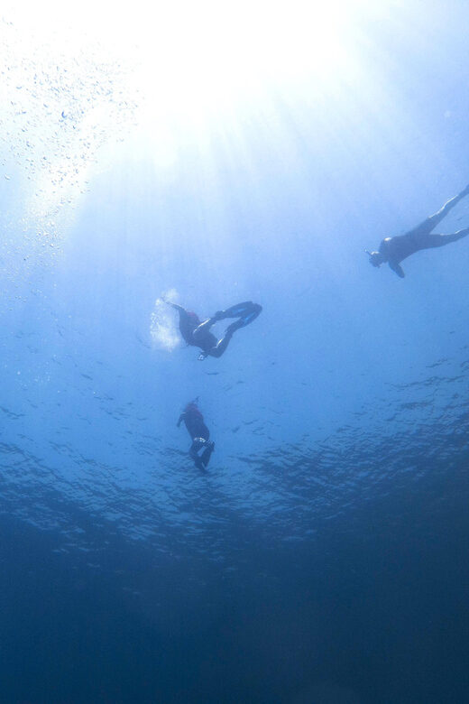 Athens: Snorkeling Riviera Adventure - Pros and Cons at a Glance