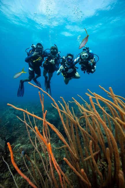 Athens: Snorkeling Tour - Key Points