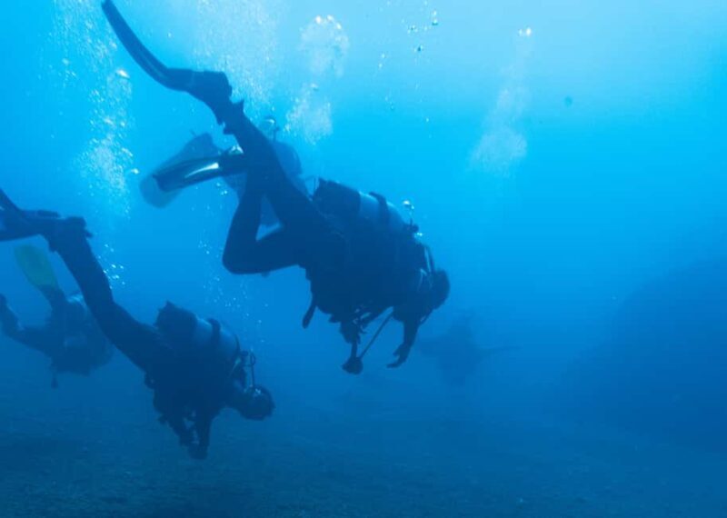 Athens: Snorkeling Tour - Who Should Consider This Tour?