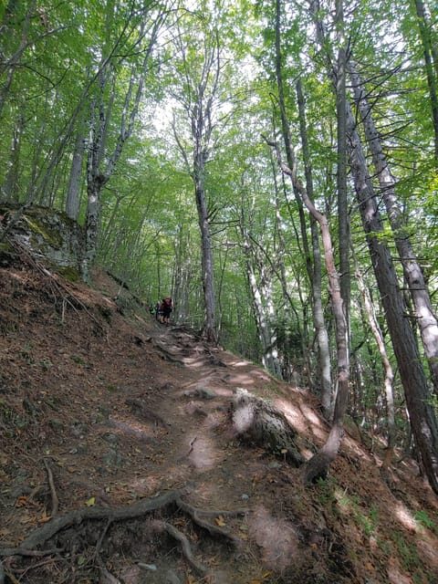 Athens to Mount Olympus: 2 days private tour - Who Should Consider This Tour?