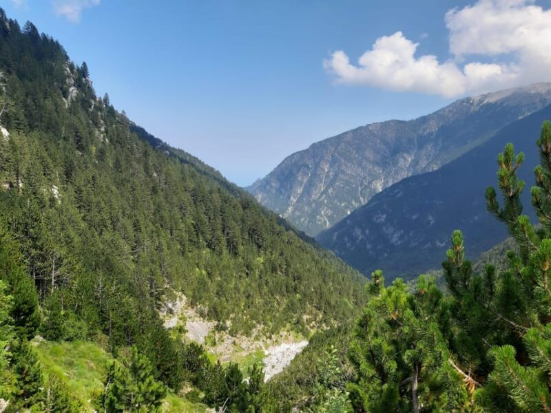 Athens to Mount Olympus: 2 days private tour - Final Thoughts