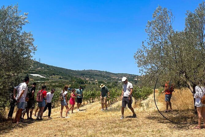 Athens to Nemea Wine Experience Tour - FAQ