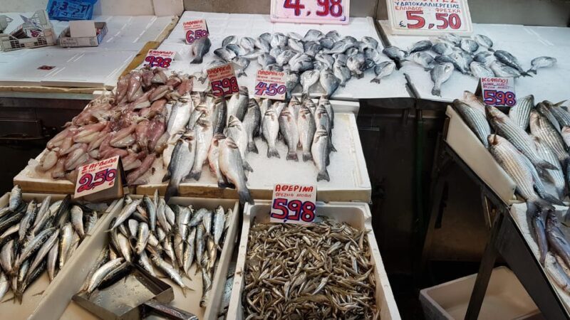 Athens: Traditional Greek food tour in hidden spots - Final Thoughts: Who Will Love This Tour?