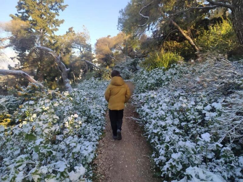 Athens: Ultimate Sunrise Hike - Who Will Love This Experience?