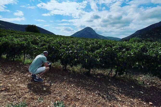 Athens Wine Tour with Wine Expert - Who Should Consider This Tour?