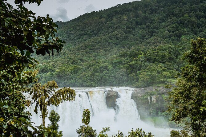 Athirapally Waterfalls from Cochin - An In-Depth Look at the Athirapally Waterfalls Tour