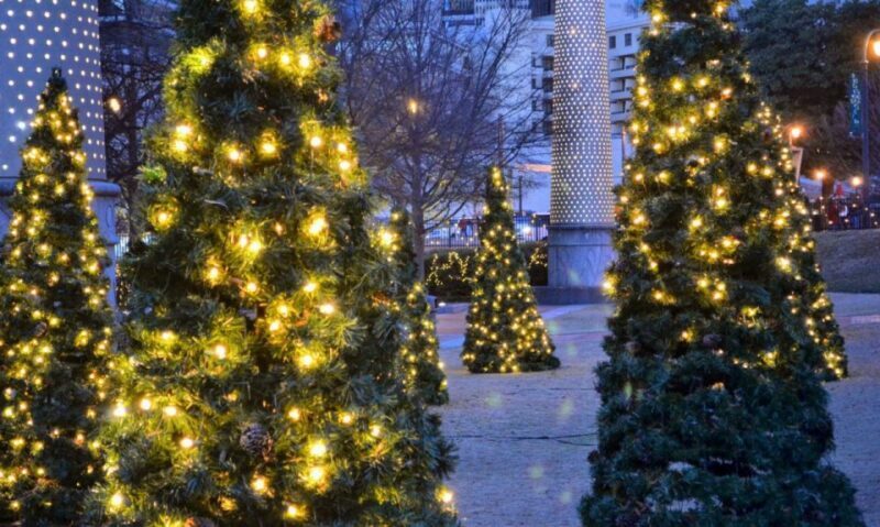 Atlanta: Christmas Private Walking Tour - Key Points