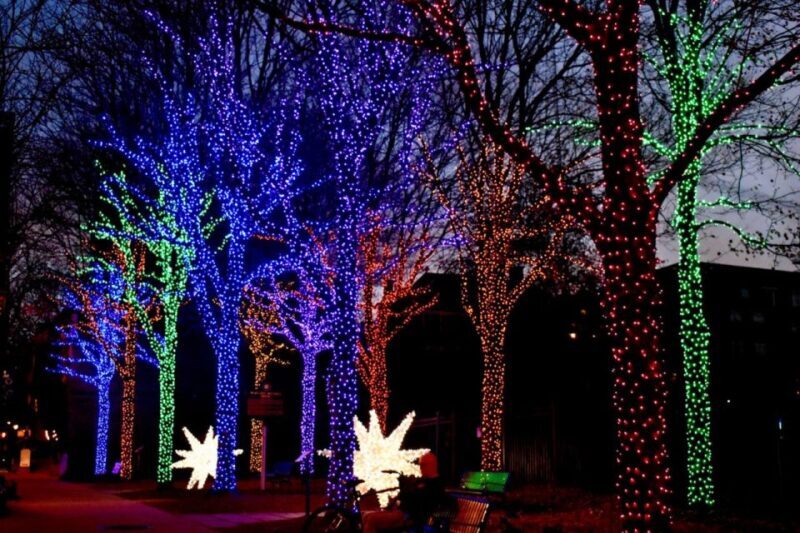 Atlanta: Christmas Private Walking Tour - In-Depth Breakdown of the Tour Experience