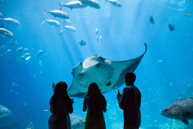 Atlanta CityPASS®: Save up to 49% at 5 Top Attractions - Authentic Experiences and Honest Feedback