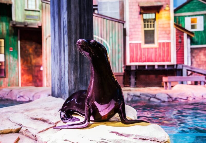 Atlanta: Georgia Aquarium Skip-the-Box-Office Entry Ticket - Who Would Love This Experience?