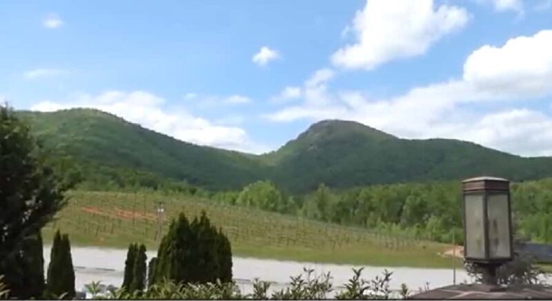 Atlanta: Georgia Vineyards Wine Tour - A Practical Breakdown of the Experience