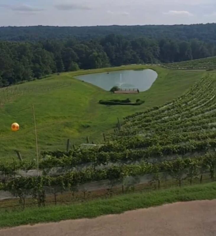 Atlanta: Georgia Vineyards Wine Tour - Practical Considerations