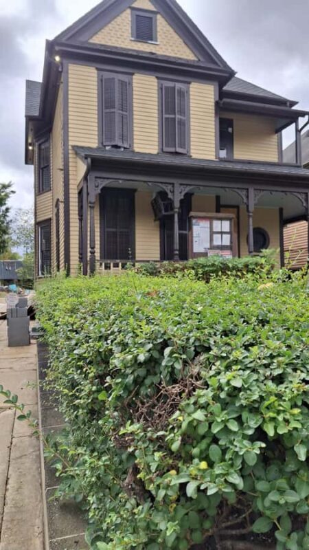 Atlanta: Guided Walking Tour of the Martin Luther King Jr District (in French) - A Deep Dive into the Experience