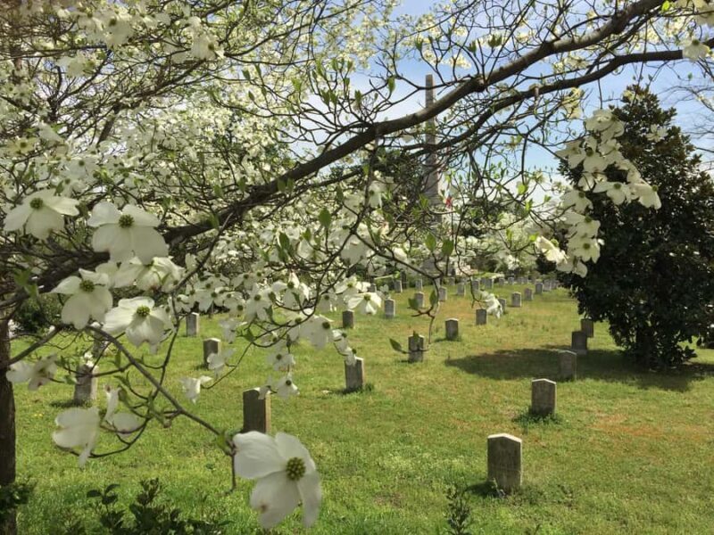 Atlanta: Margaret Mitchell & Gone With the Wind Private Tour - The Sum Up