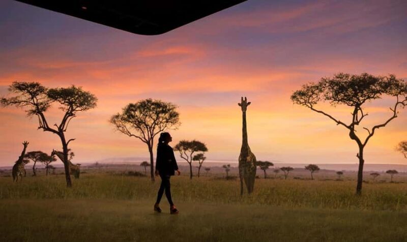 Atlanta: The Illuminarium Day Pass - Analyzing the Cost and Value