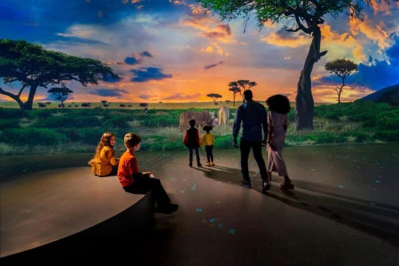 Atlanta: The Illuminarium Day Pass - FAQs