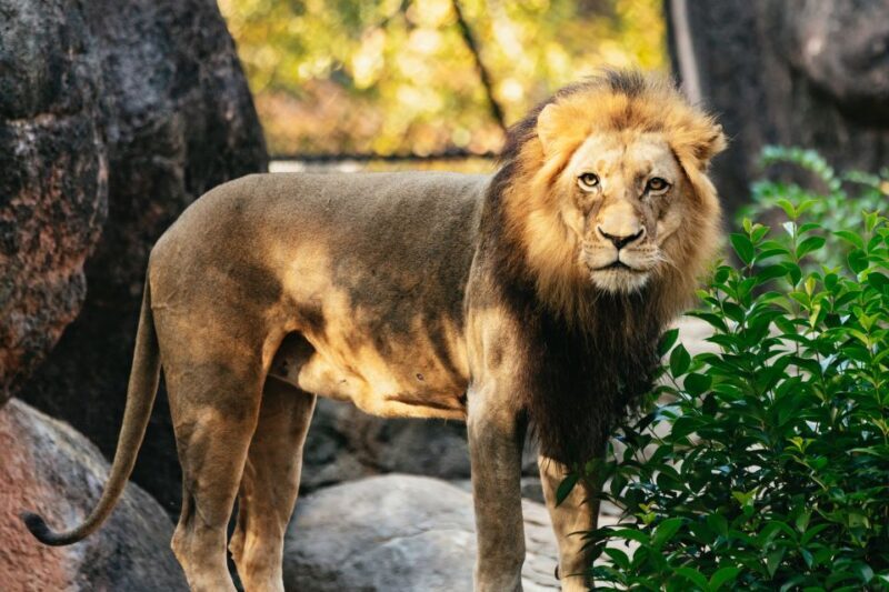 Atlanta: Zoo Atlanta General Admission Ticket - Key Points